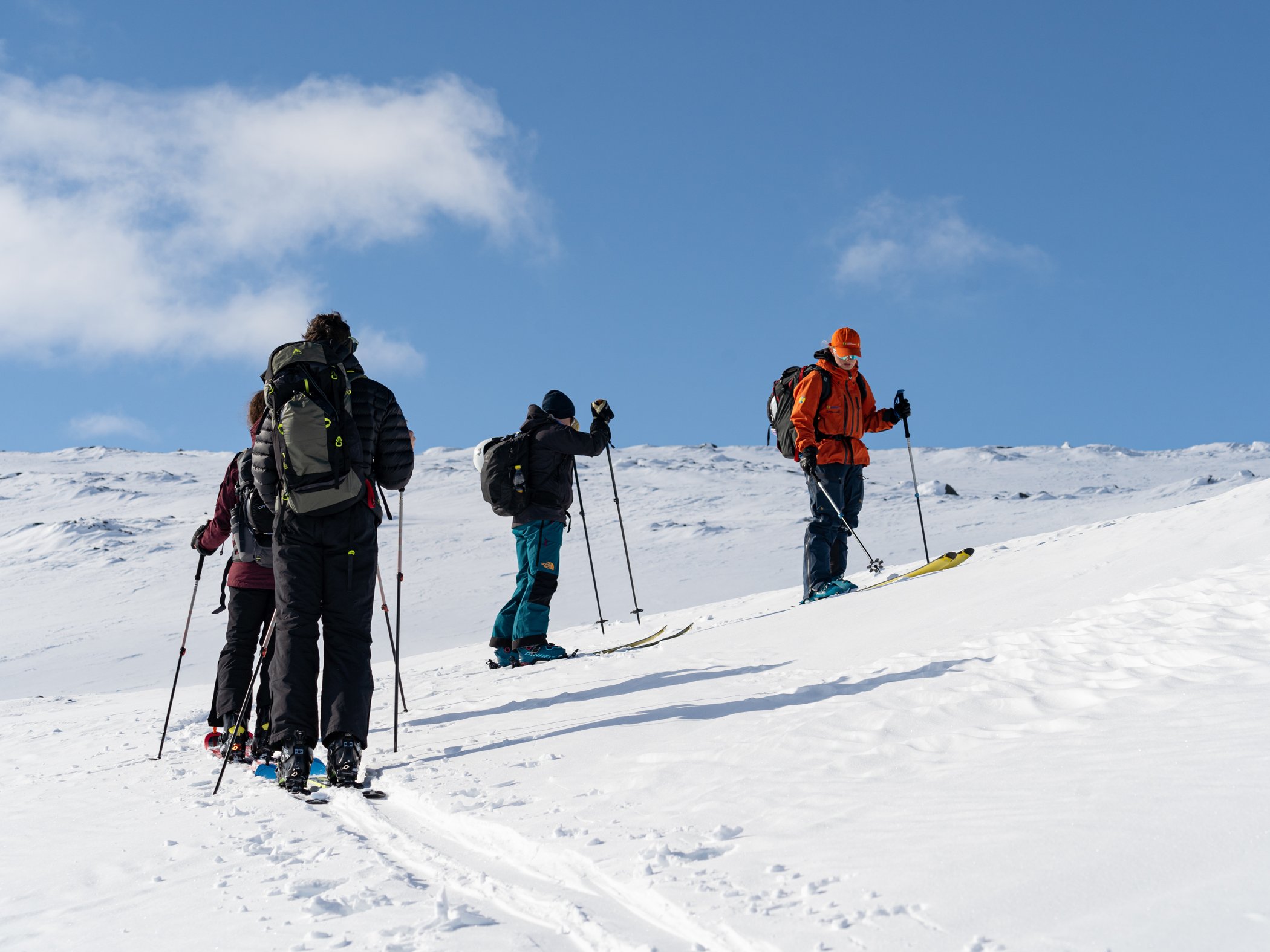 A group of backcountry skiers with a guide in an orange jacket ascending the mountain on a sunny day.