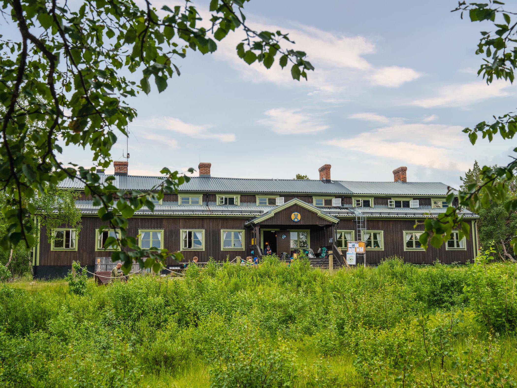 Mountain station surrounded by birch trees and greenery.