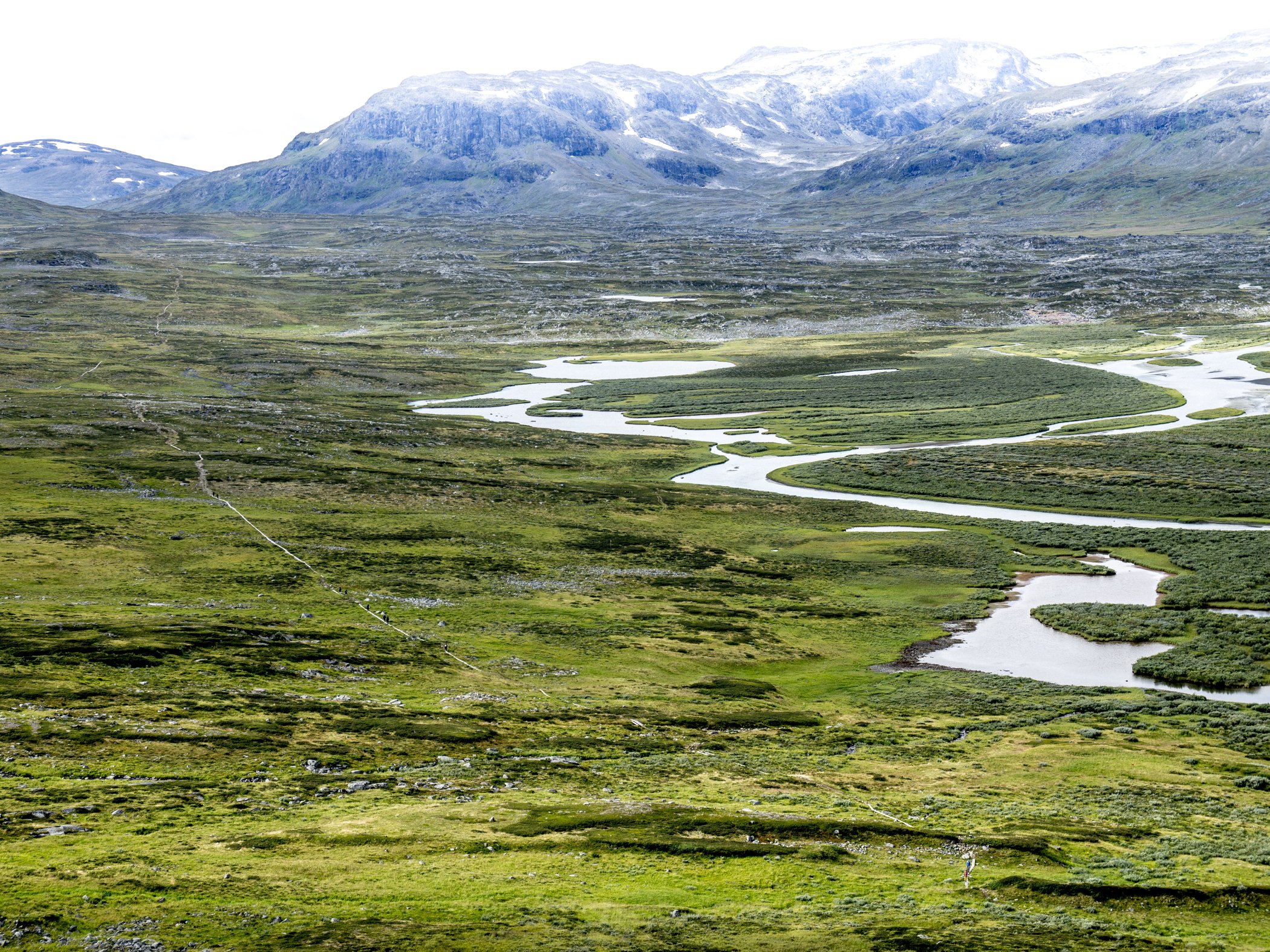 Mountain landscape with a winding river and wetlands.