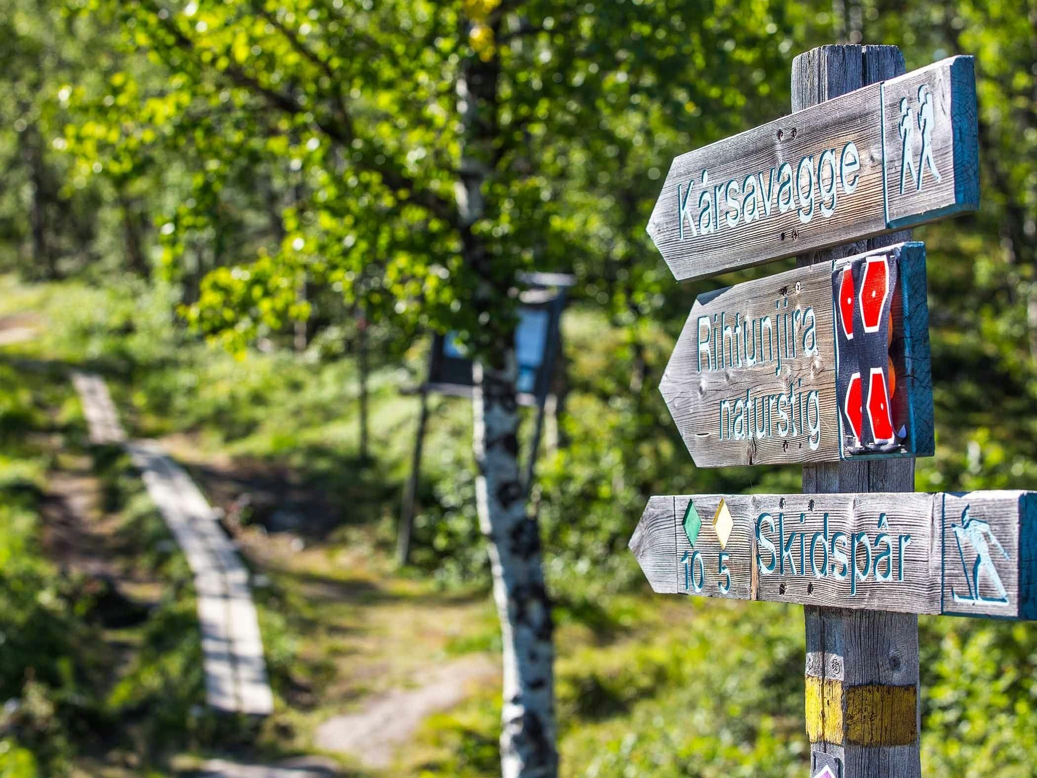 Wooden trail signs along a forest path in a green woodland landscape.