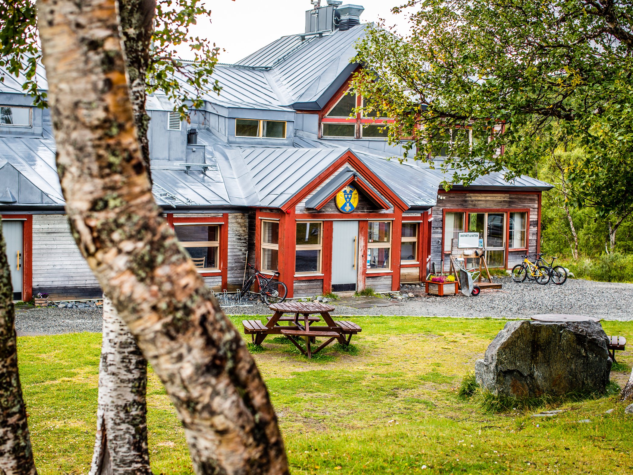 Mountain station surrounded by birch trees and greenery.
