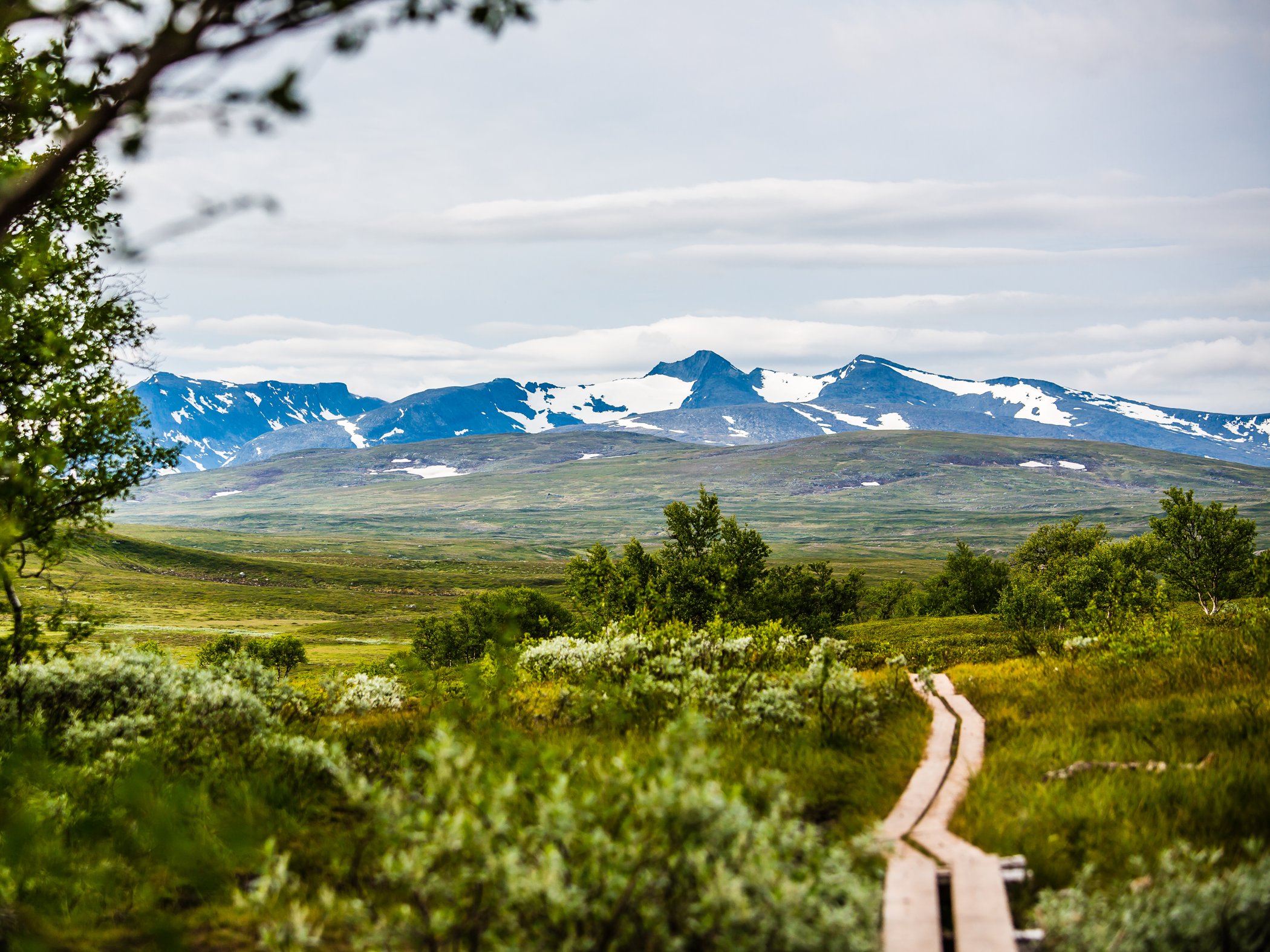 Boardwalk leading through mountain terrain with snow-covered peaks in the distance.