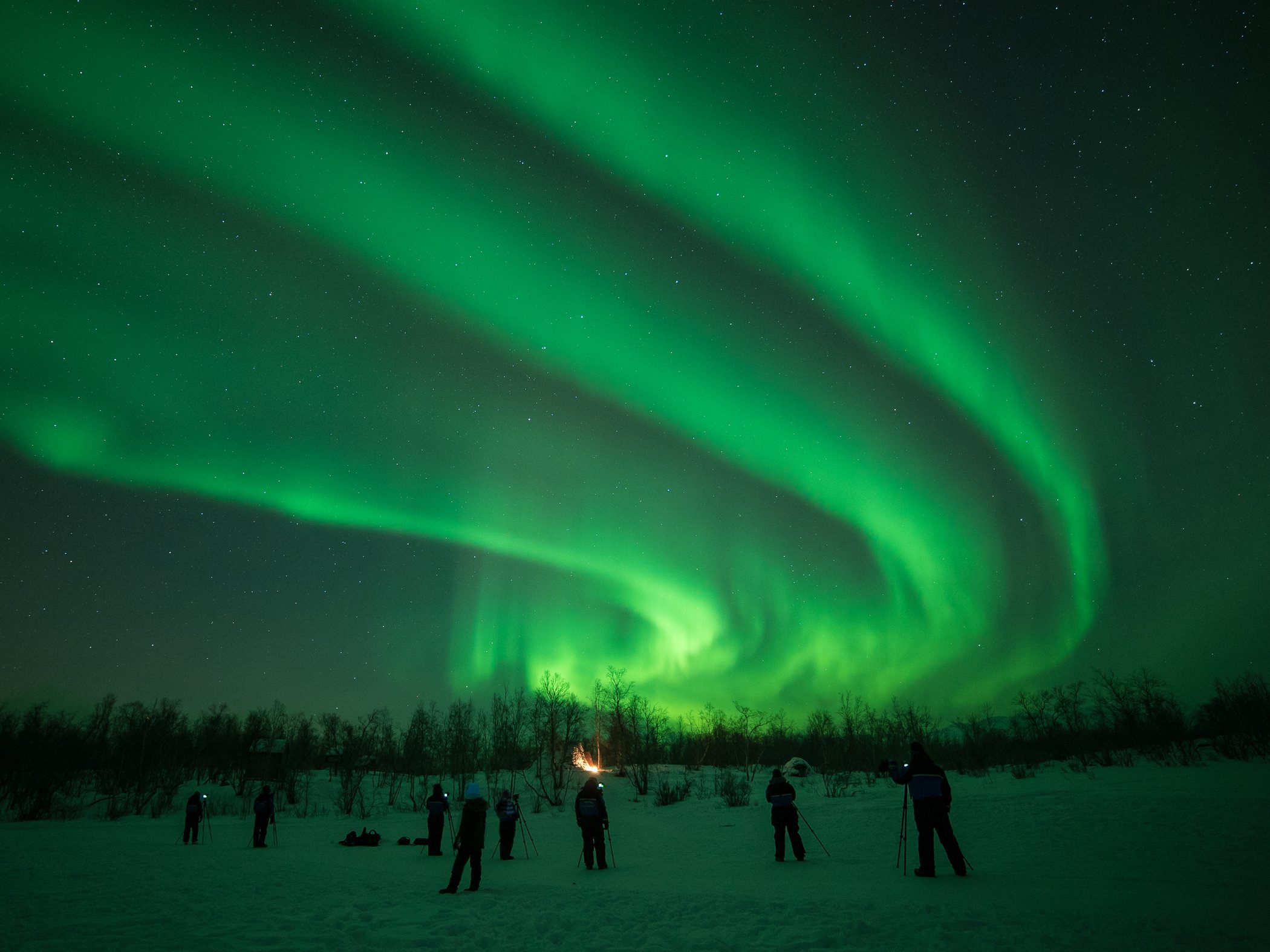 Visitors photographing the northern lights above a snow-covered landscape in Abisko.