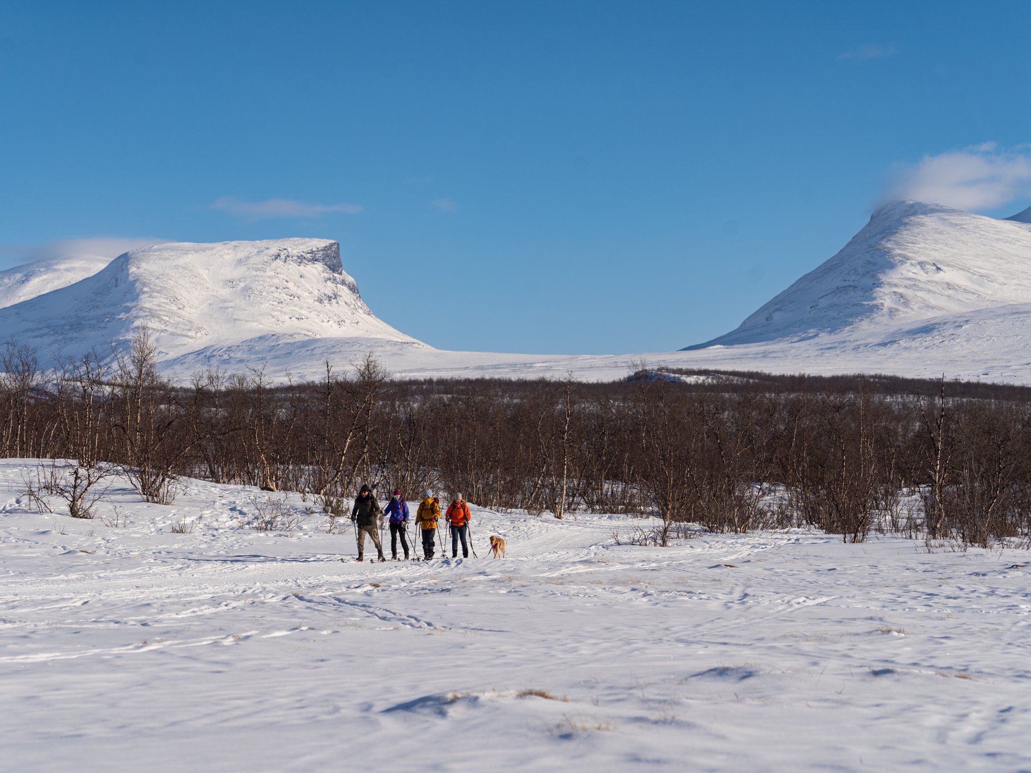 Winter hikers in Abisko with mountain views.