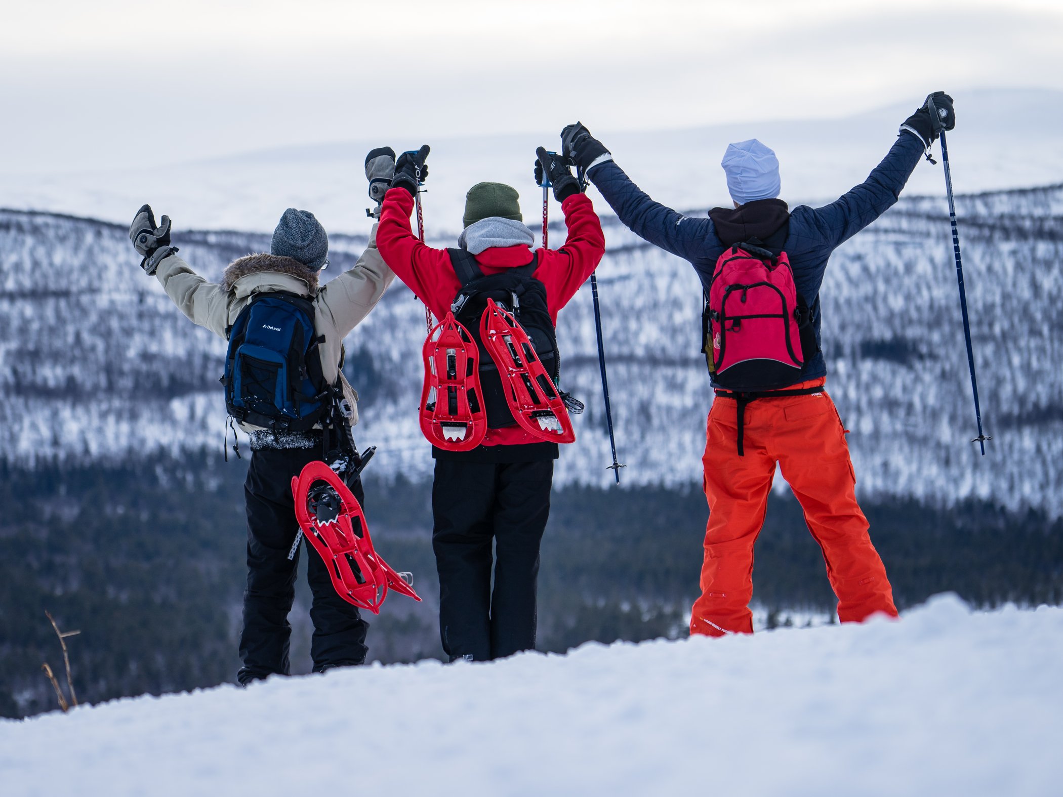 Three people on a snowy ridge with snowshoes overlooking the mountains.