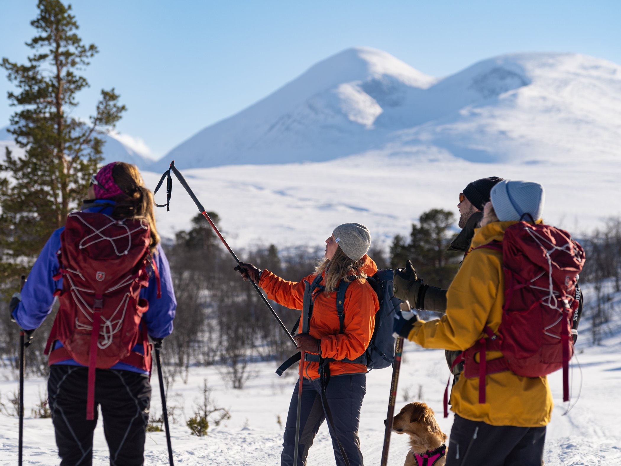 Cross-country skiers and a dog in a snowy mountain landscape as a guide points towards the surrounding peaks.